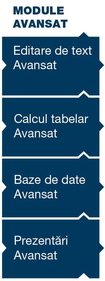 module avansat